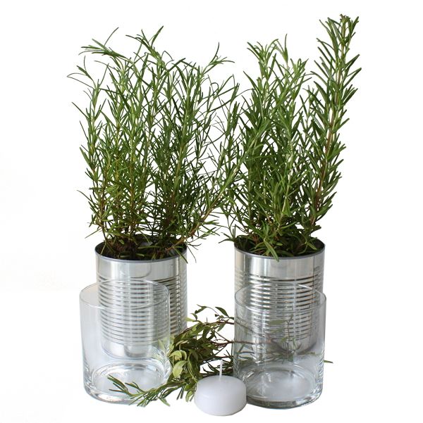 Accessoire-Set CitrusKick