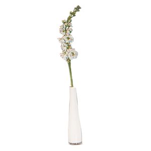 Arrangement Schwarz-Weiß