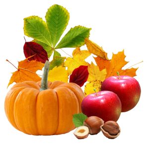 Accessoire-Set ThanksGiving