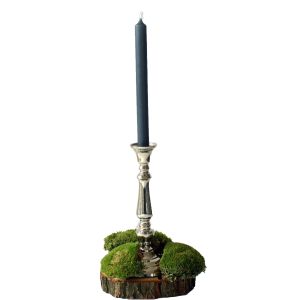 Centerpiece-Set Traumzauber