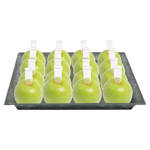 Centerpiece-Set AppleGreen