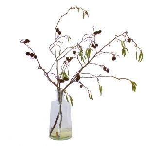 Weidenast mit Knospen