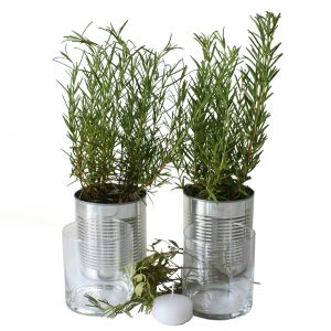 Accessoire-Set CitrusKick