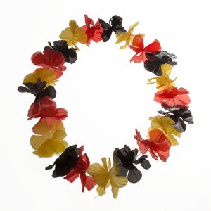 Fan-Kette Deutschland