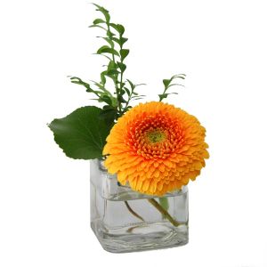 Arrangement Orange Moon