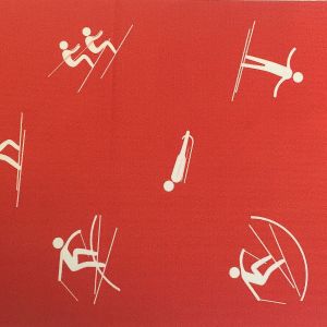 Läufer Wintersport B260 x T30 cm