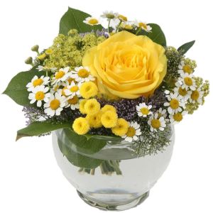 Strauß Europa klein