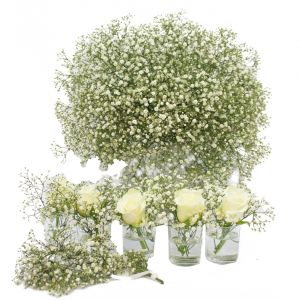 Arrangement Schleier-Globe