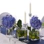 Accessoire-Set Fresh Celebration