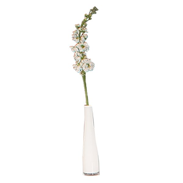 Arrangement Schwarz-Weiß