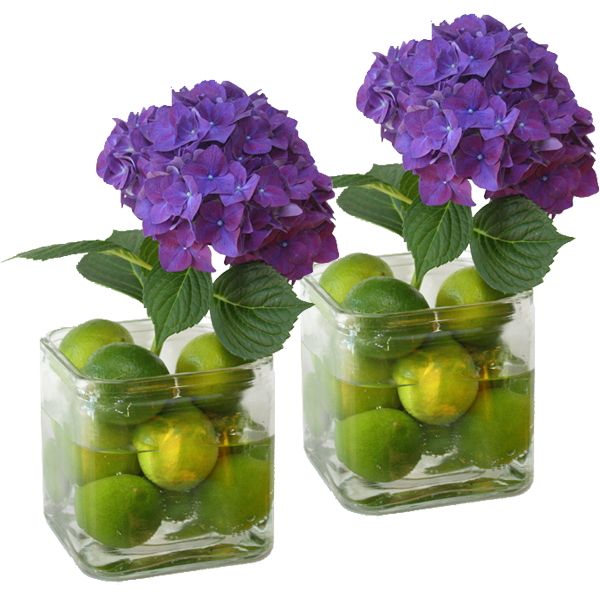 Arrangement Fresh Celebration