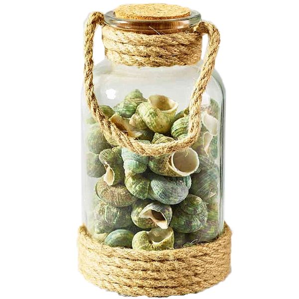 Dekoglas Strandschätze H21 cm