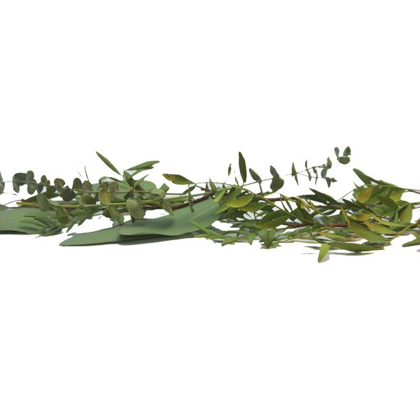 Arrangement Greenery