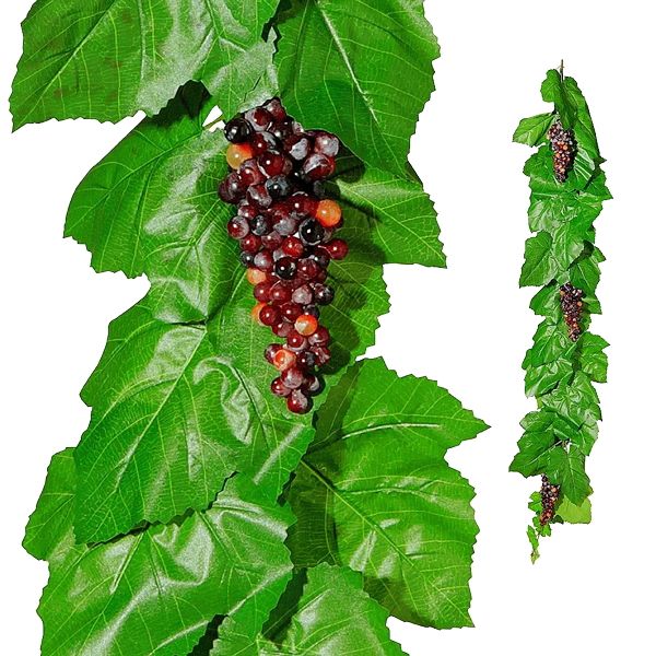 Ranke Rotwein L180 cm