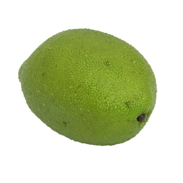 Deko-Limette D5,5 cm