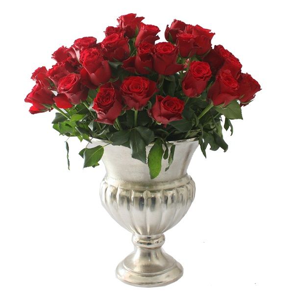 Arrangement Rosenrot