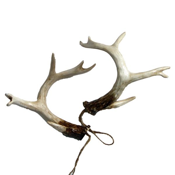Geweih-Set 2teilig B14 cm