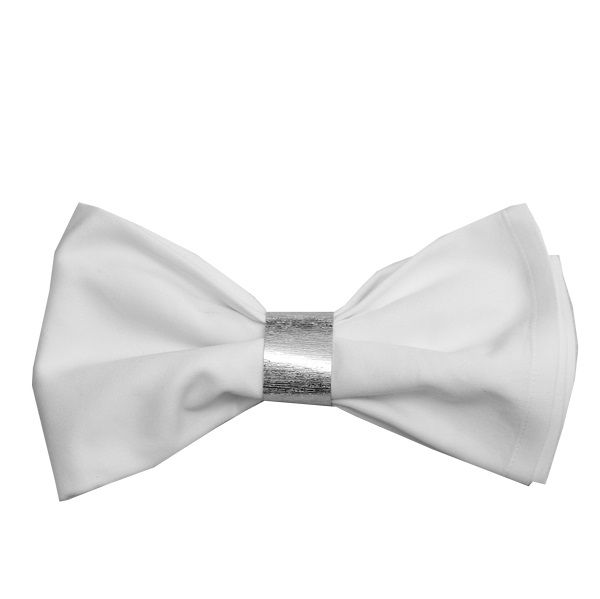 Serviette Stoff Weiss B50 x T50 cm mit Klammer Silber